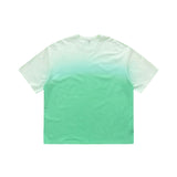 blank Hang dye Tshirts