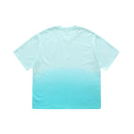 blank Hang dye Tshirts