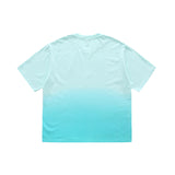 blank Hang dye Tshirts